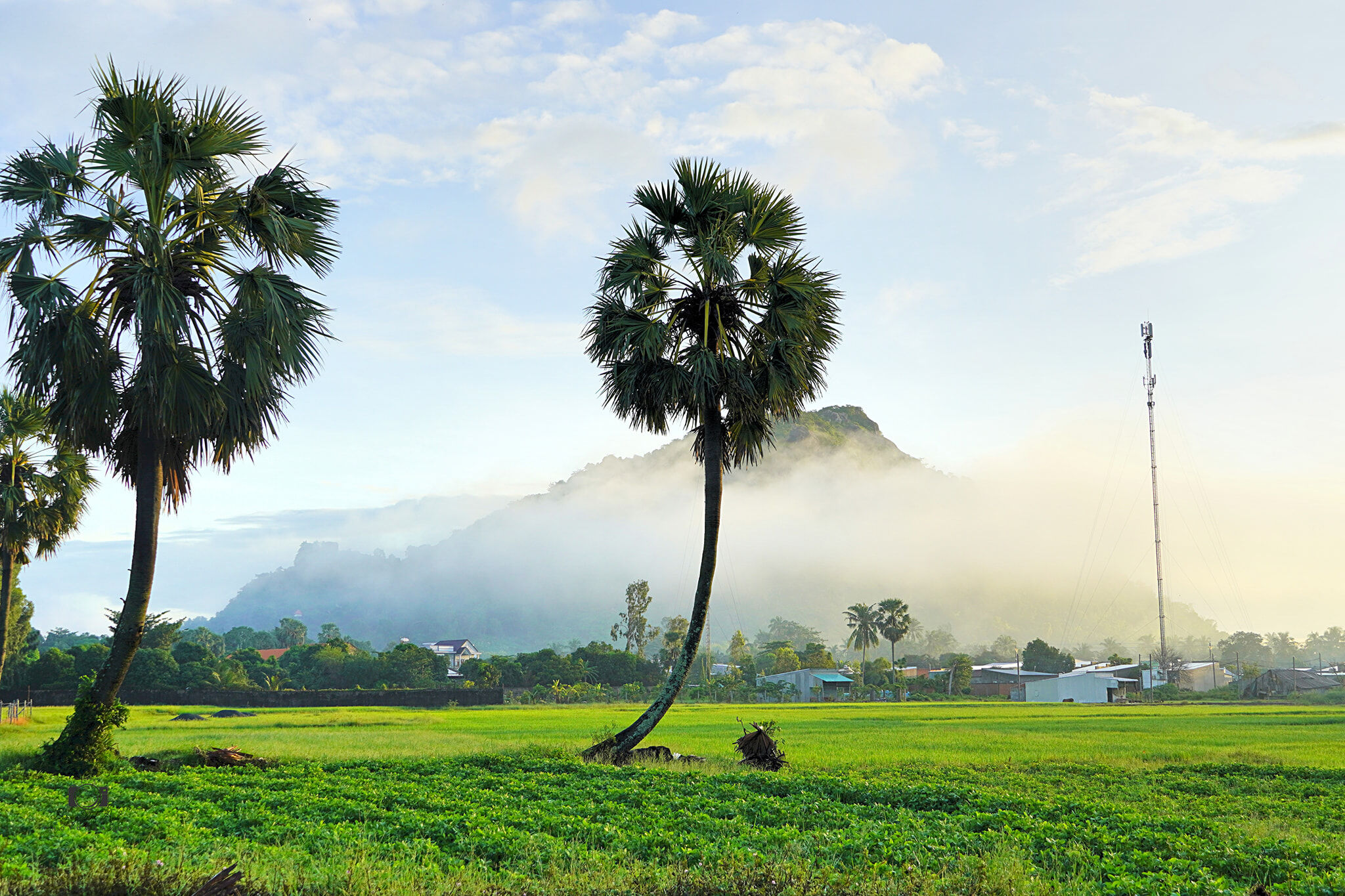 Start your Phnom Penh Travel with scenic vistas